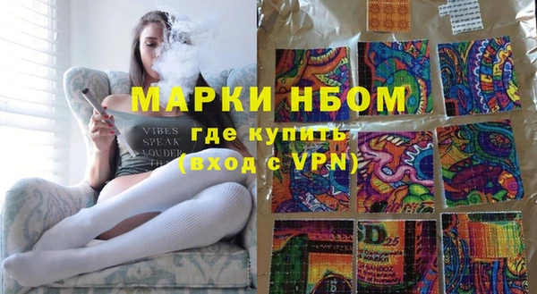стаф Нея