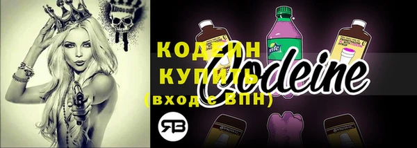 прущие грибы Наволоки