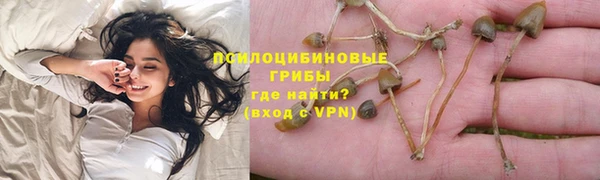 стаф Нея