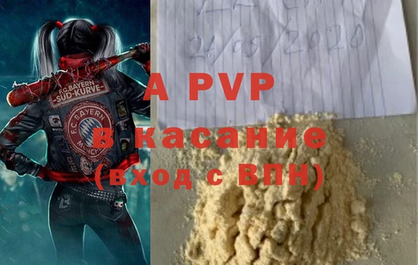 стаф Нея