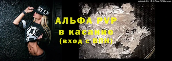 стаф Нея