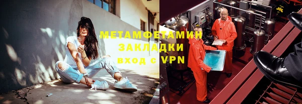 прущие грибы Наволоки