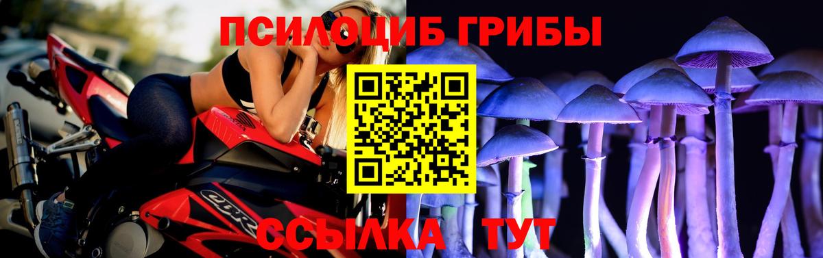 купить наркотики сайты  Галлюциногенные грибы Cubensis  Вход с VPN  Качканар  Галлюциногенные грибы GOLDEN TEACHER 